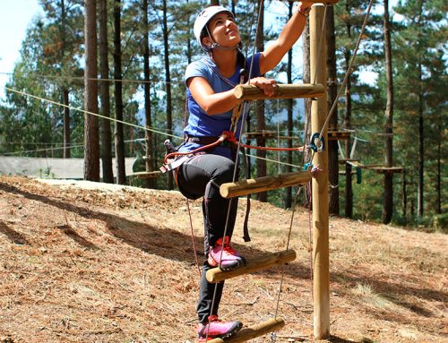 Taking it to the next level: Discover the Blue Circuit at Mendexa Park