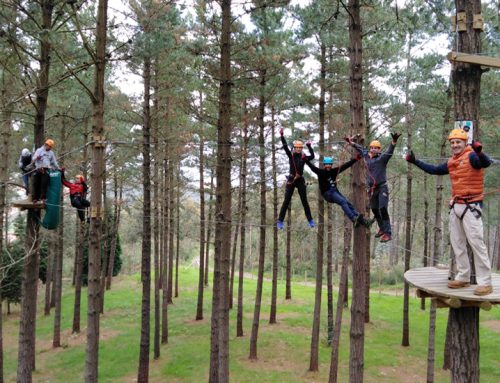 Mendexa Abentura Park: Where Teams Grow