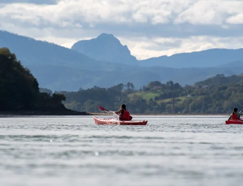 Fin de semana perfecto: Mendexa Park y descenso de Urdaibai en piragua